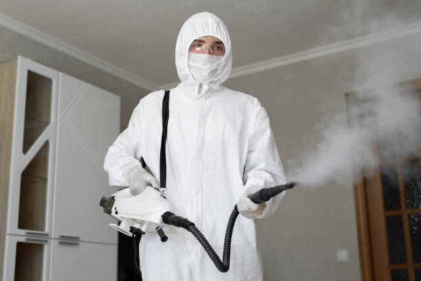 Best Residential Mold Inspection & Testing  in Santa Rosa, TX